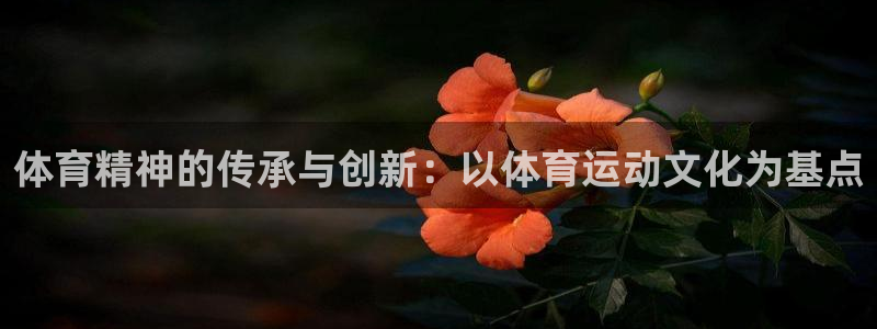 沃尔沃xc90多重