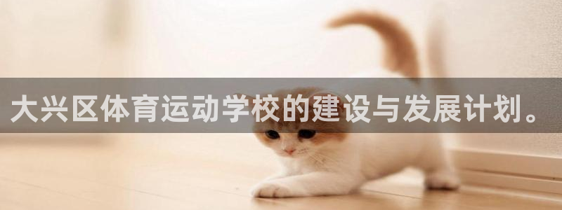 杏彩xc体育平台总代理：大兴区体育运动学校的建设与发展计划。