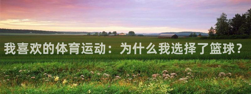 xc602020款：我喜欢的体育运动：为什么我选择了篮球？