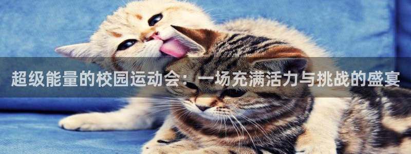 cad中xc是什么意思：超级能量的校园运动会：一场充满活力与挑战的盛宴