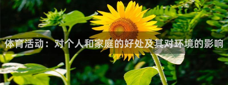 杏彩xc招商：体育活动：对个人和家庭的好处及其对环境的影响