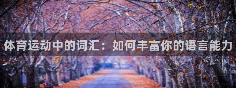 杏彩xc体育官网入口登录：体育运动中的词汇：如何丰富你的语言能力