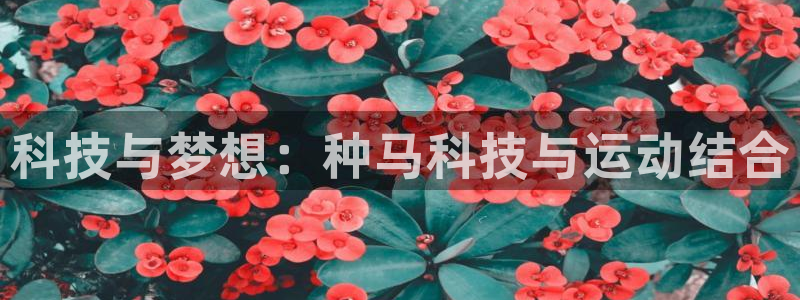 xc是啥意思：科技与梦想：种马科技与运动结合