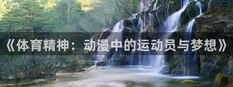 xc60 xc40 选择：《体育精神：动漫中的运动员与梦想》