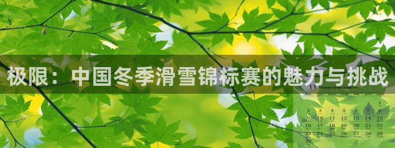 xc可以组成什么词语：极限：中国冬季滑雪锦标赛的魅力与挑战