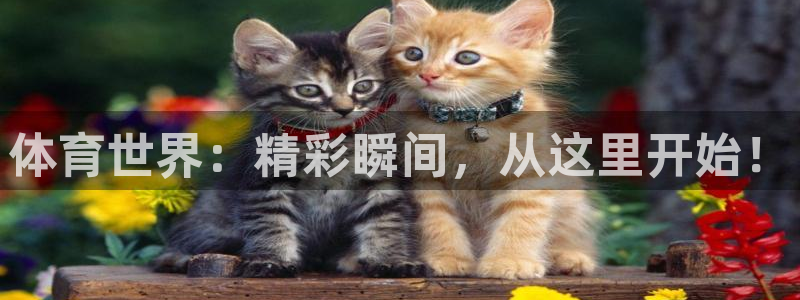 xc是哪个部位：体育世界：精彩瞬间，从这里开始！