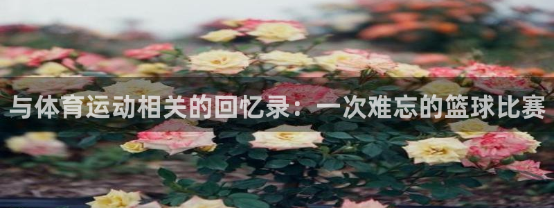 xc79：与体育运动相关的回忆录：一次难忘的篮球比赛