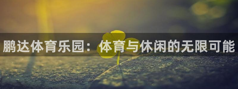 xc什么意思网络用语：鹏达体育乐园：体育与休闲的无限可能