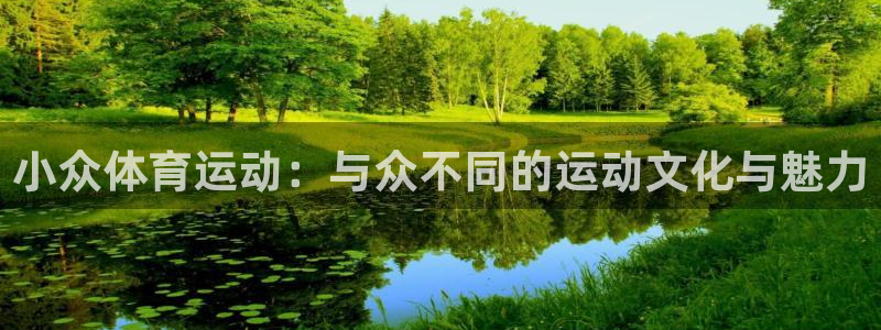 新沃尔沃xc90如何：小众体育运动：与众不同的运动文化与魅力