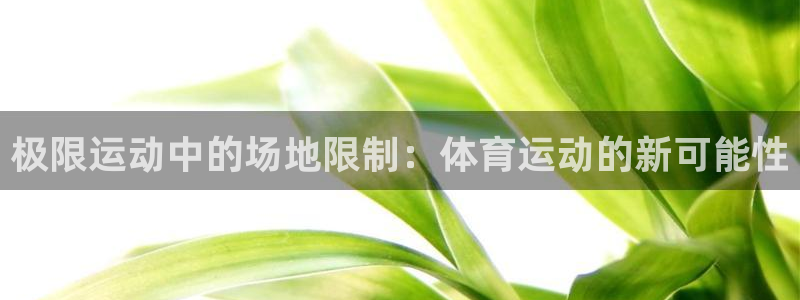 新沃尔沃xc90质量如何