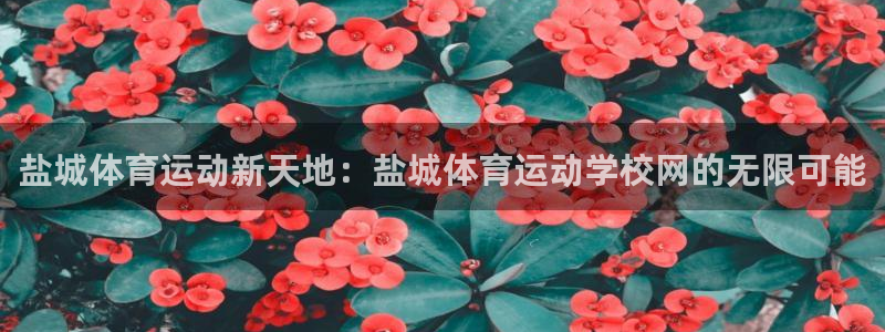 10年xc60：盐城体育运动新天地：盐城体育运动学校网的无限可能
