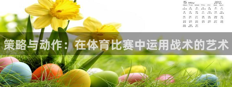 xc什么意思网络用语：策略与动作：在体育比赛中运用战术的艺术