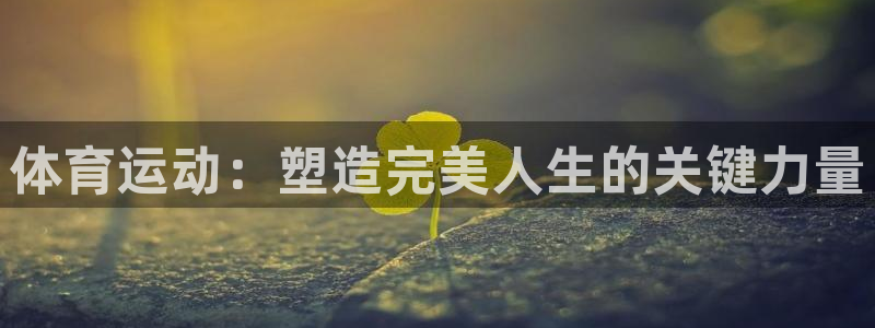 汽车xc是什么意思：体育运动：塑造完美人生的关键力量