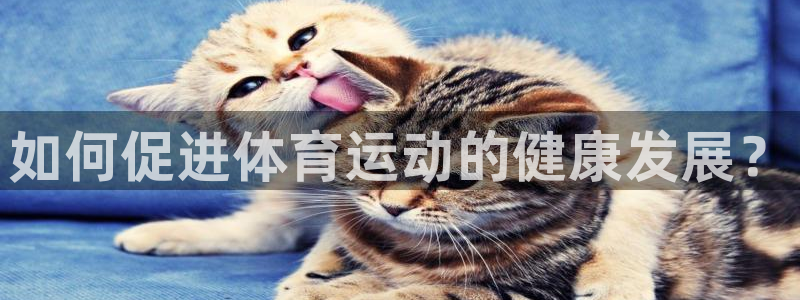 杏彩体育官网入口：如何促进体育运动的健康发展？