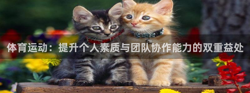 杏彩xc平台：体育运动：提升个人素质与团队协作能力的双重益处